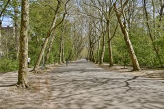 Baarsstraat 7-2 - 26.jpg